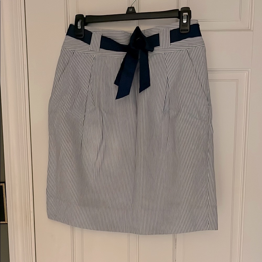 Seersucker Navy and White Women's Skirt